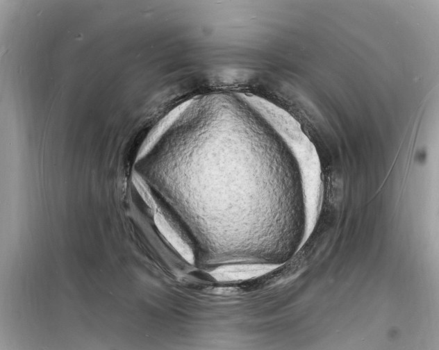 X0000098230324200805221716