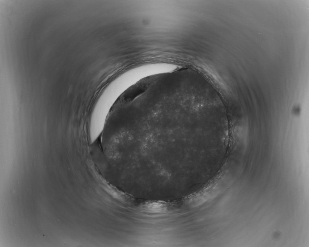 X0000098230325200805221716