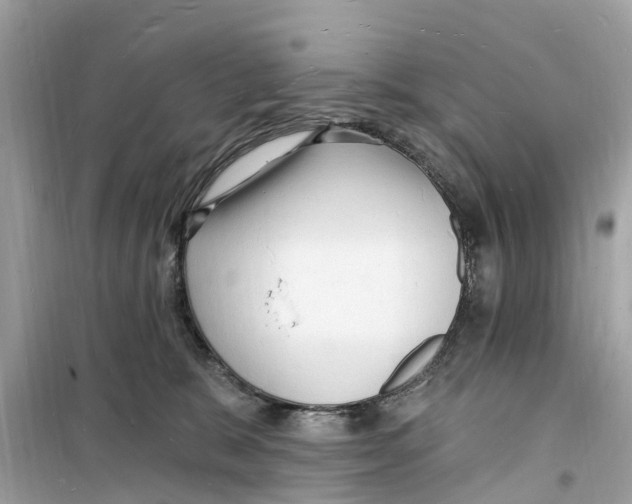 X0000098230327200805221716