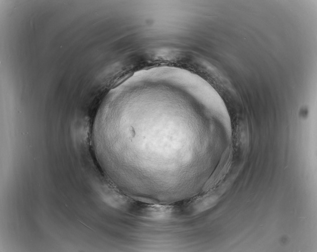 X0000098230328200805221716