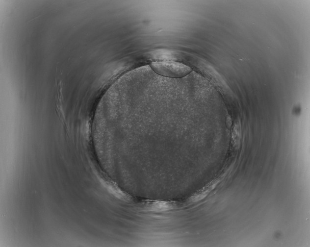 X0000098230330200805221716