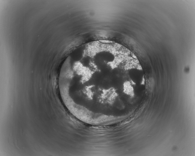 X0000098230331200805221716