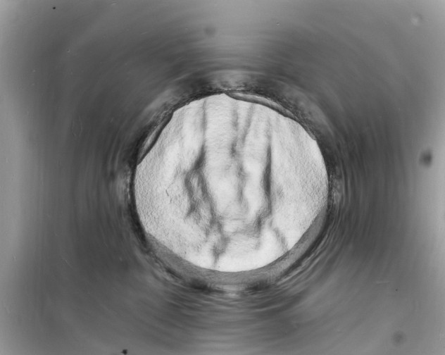 X0000098230332200805221716