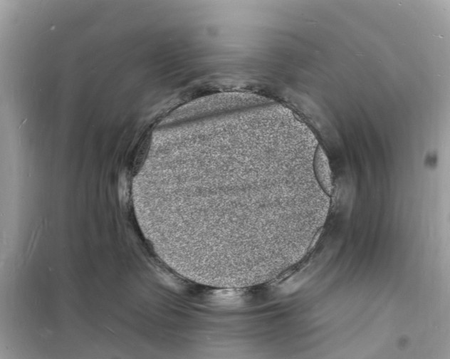 X0000098230335200805221716