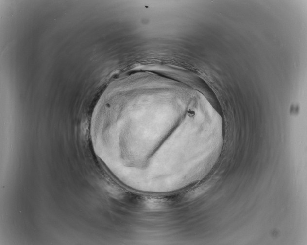 X0000098230336200805221716