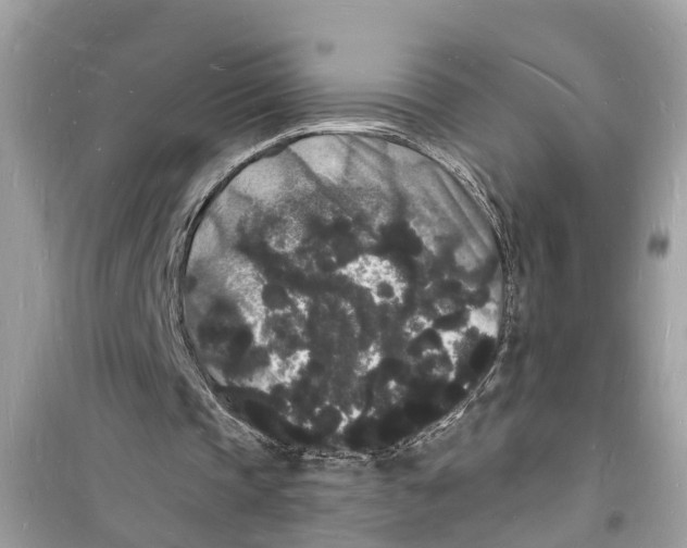 X0000098230337200805221715