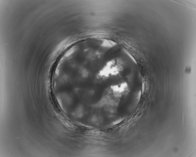 X0000098230339200805221716