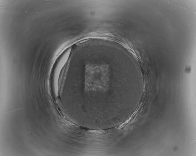 X0000098230340200805221716