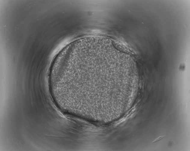 X0000098230341200805221716