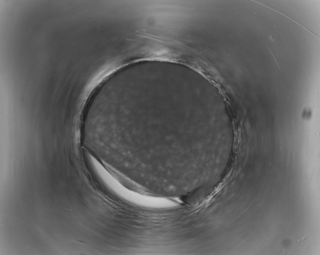 X0000098230344200805221716