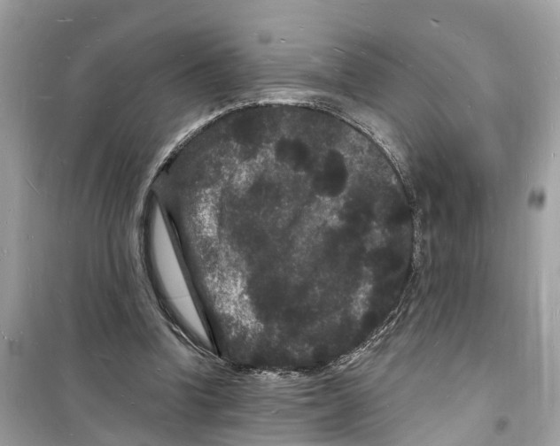 X0000098230346200805221716