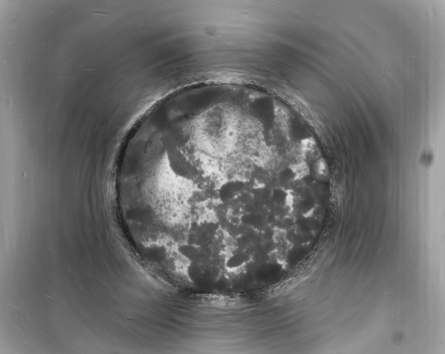 X0000098230347200805221716