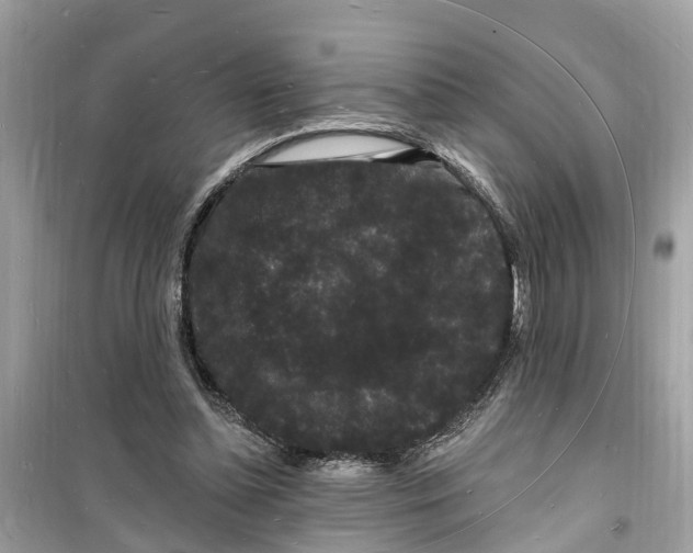 X0000098230348200805221716