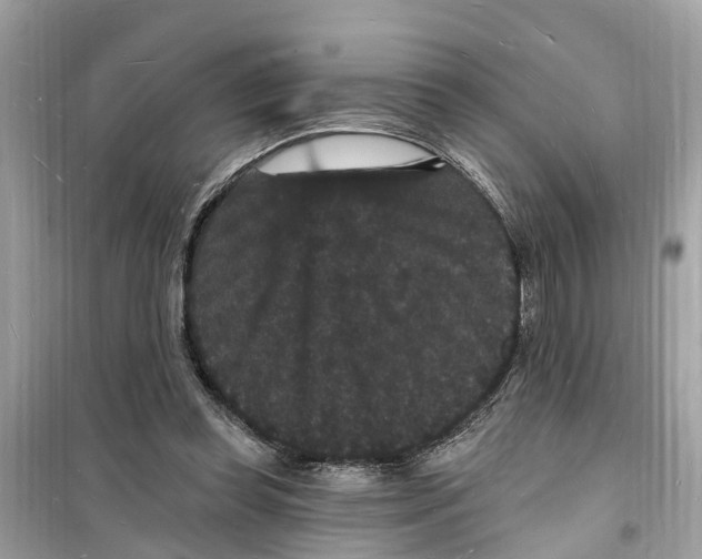 X0000098230349200805221716