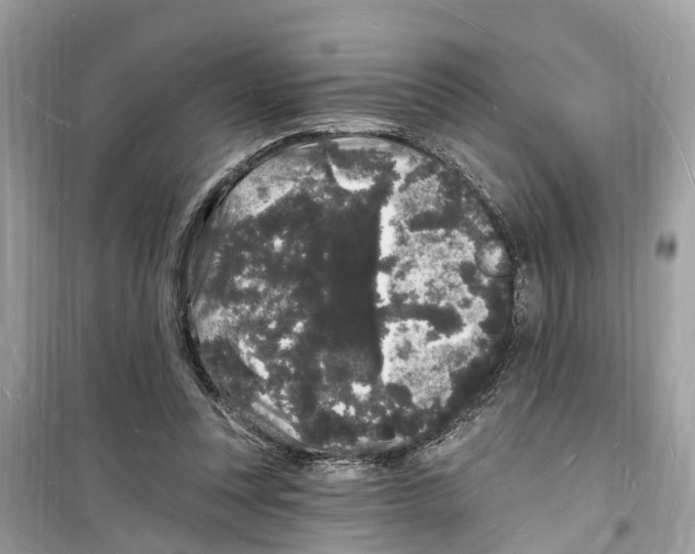 X0000098230351200805221716