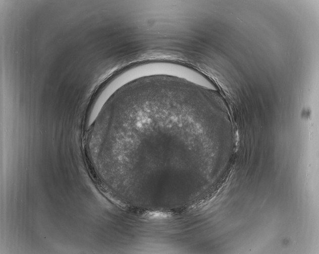 X0000098230352200805221716