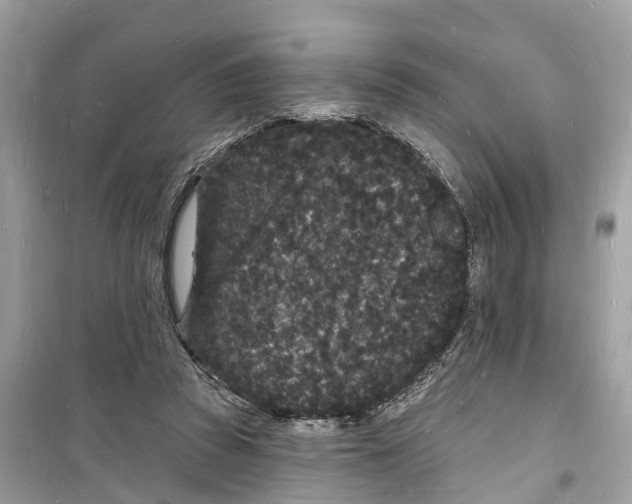 X0000098230353200805221716