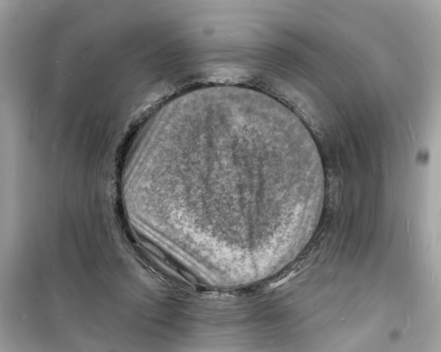 X0000098230354200805221716