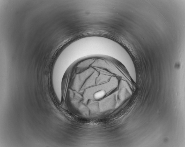 X0000098230356200805221716