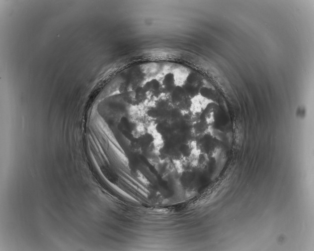 X0000098230357200805221716