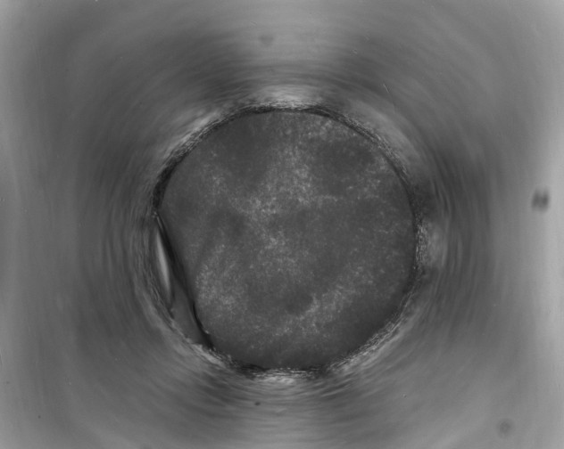 X0000098230358200805221716