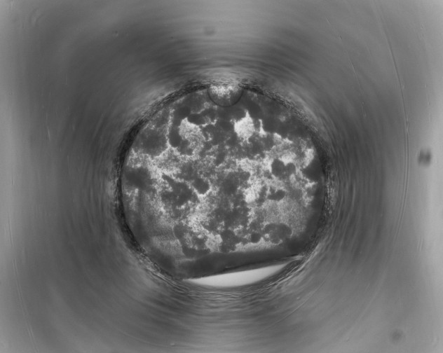 X0000098230359200805221716