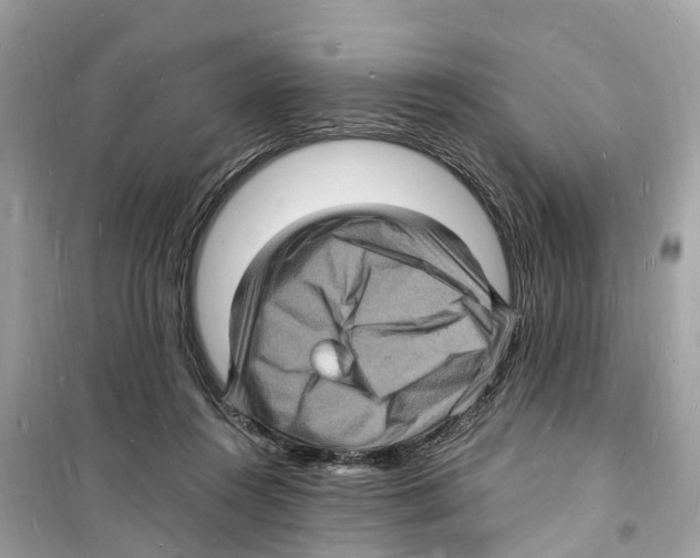 X0000098230360200805221716