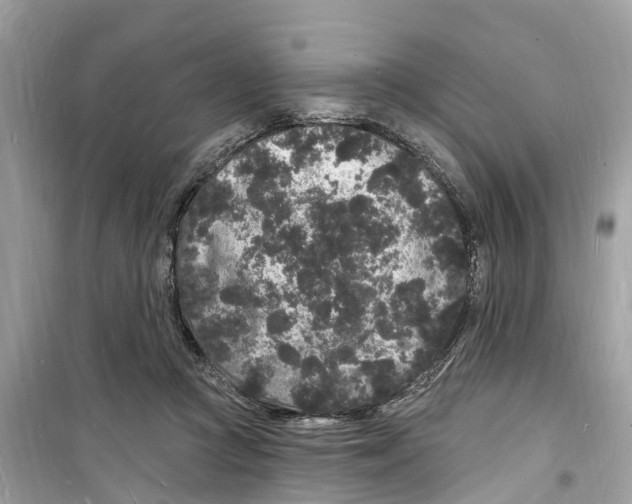 X0000098230361200805221716