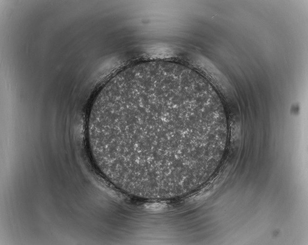 X0000098230362200805221716