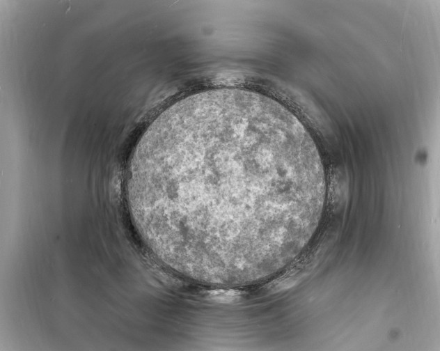 X0000098230363200805221716