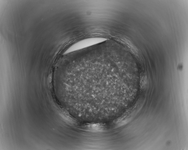 X0000098230365200805221716