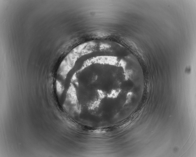 X0000098230366200805221716