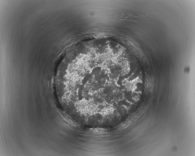 X0000098230367200805221716