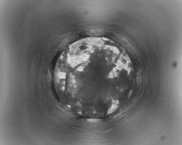 X0000098230371200805221716