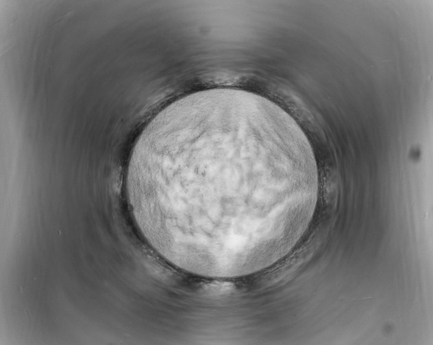 X0000098230374200805221716