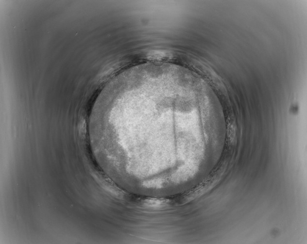 X0000098230375200805221716