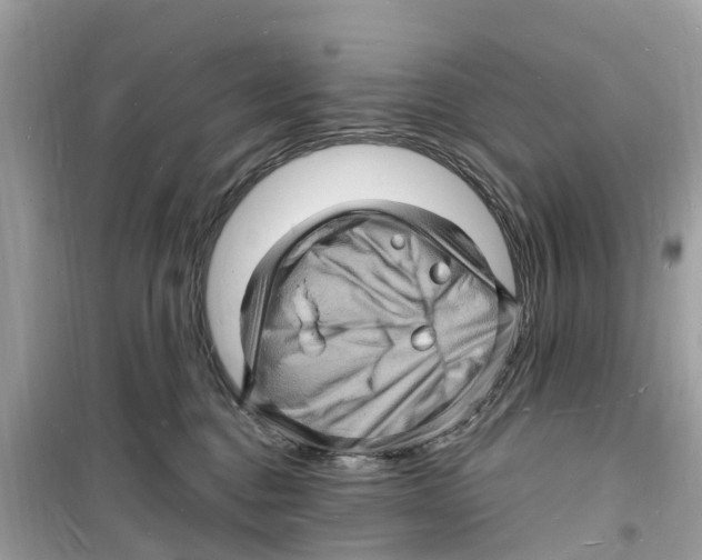 X0000098230376200805221716