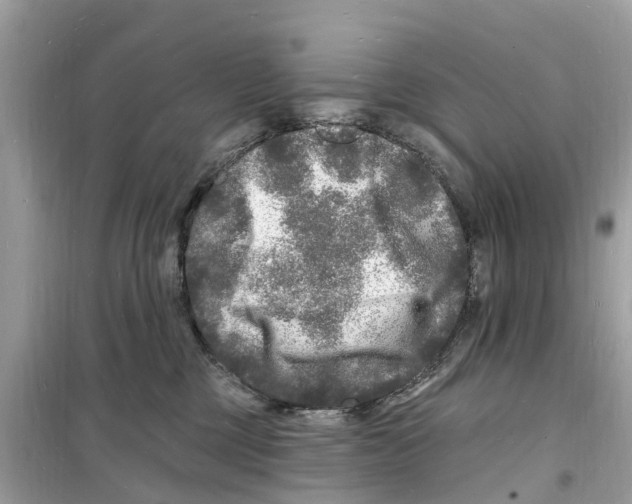 X0000098230377200805221716