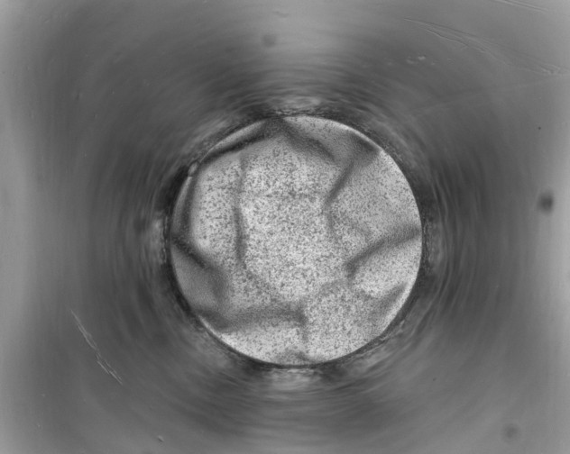 X0000098230378200805221716