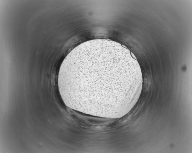 X0000098230379200805221716