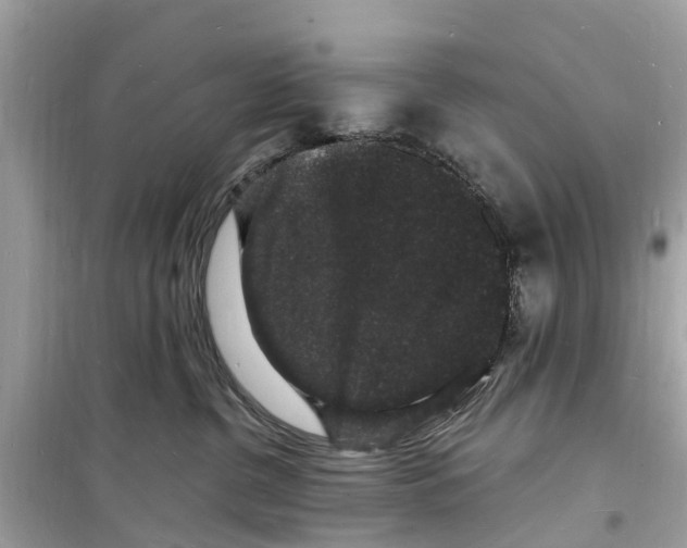 X0000098230380200805221716