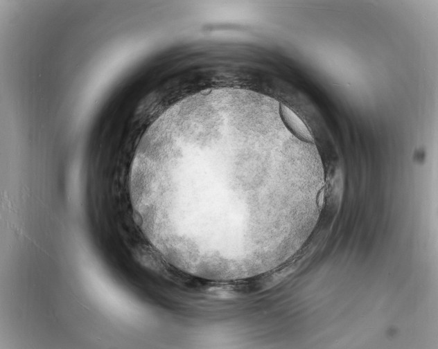 X0000098230381200805221716