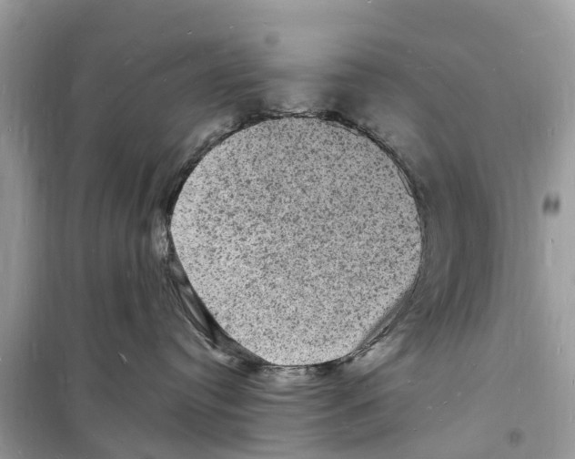 X0000098230384200805221716