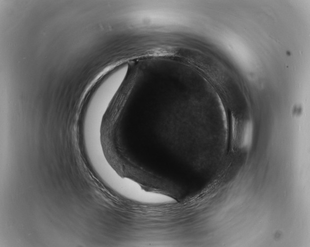 X0000098230387200805221715