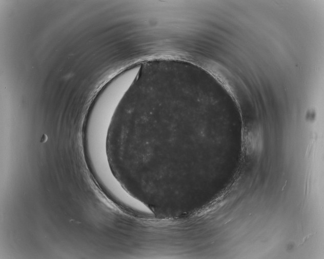 X0000098230389200805221715