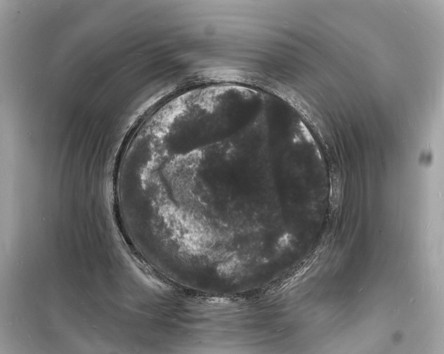 X0000098230390200805221715