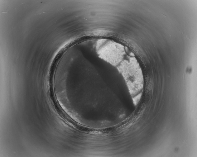 X0000098230392200805221715