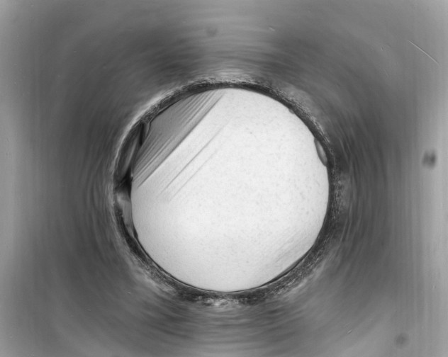 X0000098230395200805221715