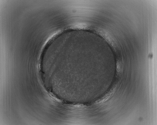 X0000098230396200805221715