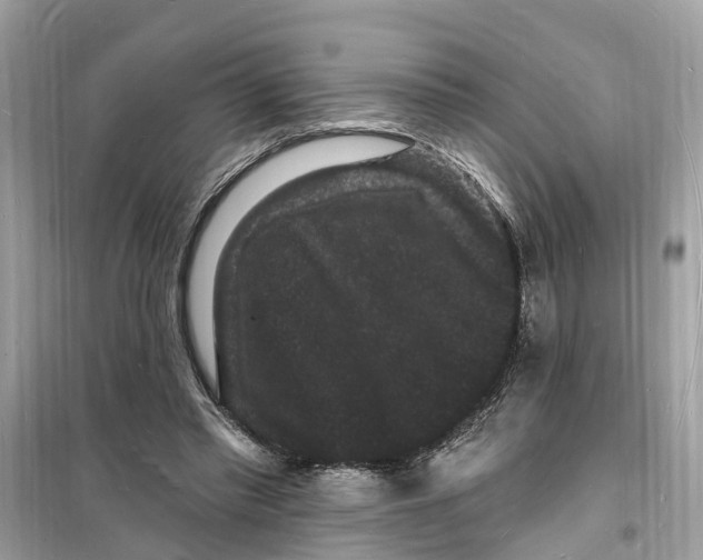 X0000098230397200805221715